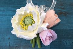 White-and-Pink-Flowers